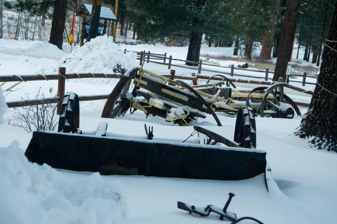 Timberline Lodge بيغ بير لاكي، سان بيرناردينو، كاليفورنيا المظهر الخارجي الصورة